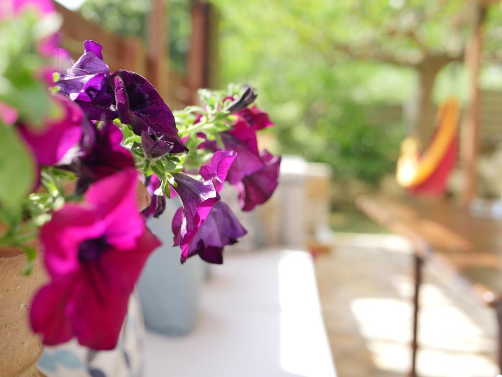 Villa Victoria Boutique Apartments Sívota 外观 照片